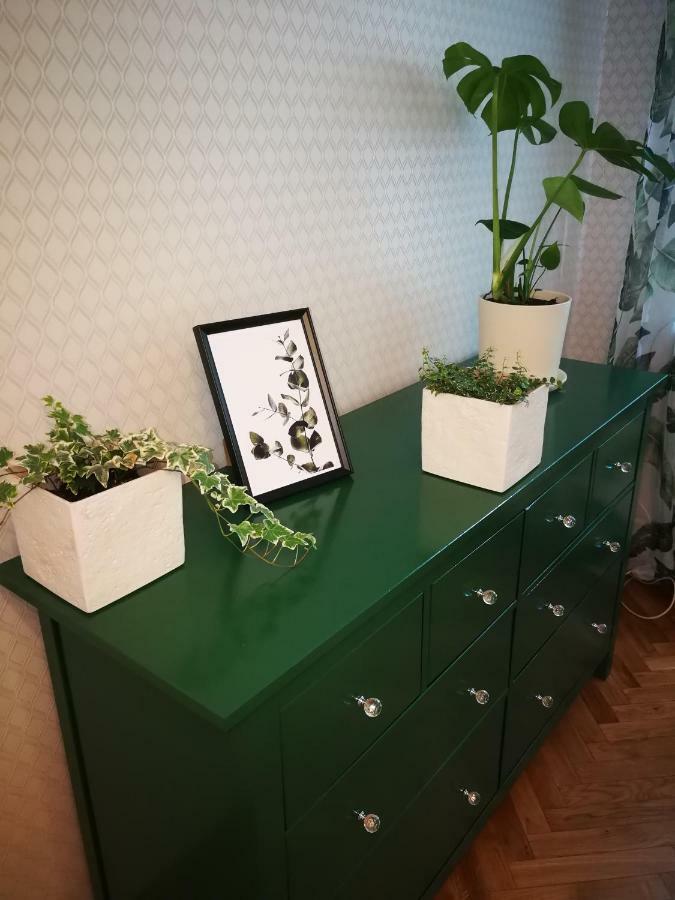 Lemon Tree Apartment 弗罗茨瓦夫 外观 照片
